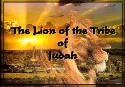 The Lion of the Tribe of Judah